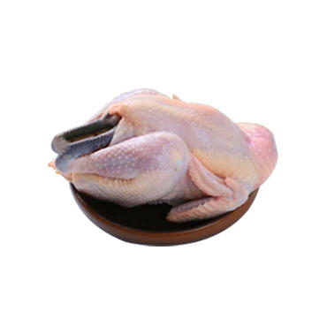 林下鸡 商品图0