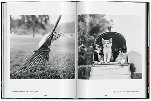 【现货】Walter Chandoha. Cats. Photographs 1942–2018 | 沃尔特·尚多哈：猫咪摄影集 1942–2018 商品图2