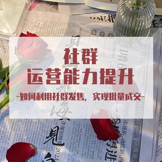 社群运营能力提升---如何利用社群发售，实现批量成交 商品图0