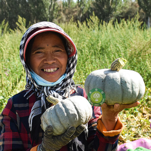 半亩园有机贵族南瓜/有机板栗南瓜 商品图3