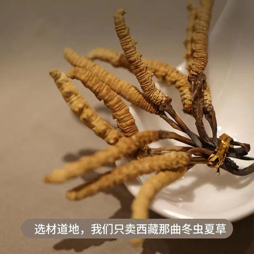 挑时西藏那曲冬虫夏草 2600条/KG 50g·100g·250g·500g 无断草 无增重 无接驳 商品图1