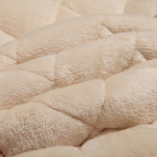 都市丽人法兰绒夹棉女士加厚款长袖长裤类家居服套装LH31F7 商品图3