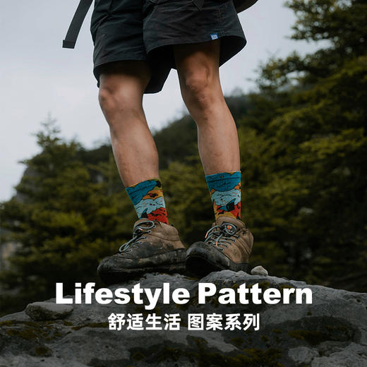 新品升级199元2双赛乐ZEALWOOD美丽诺羊毛3D印花潮袜速干透气 商品图1