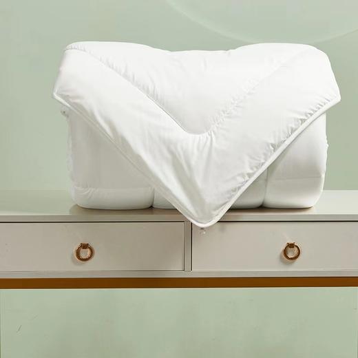 【堂皇】B7F欧洲进口抗菌羊毛（填充物重量：2000g） 商品图1