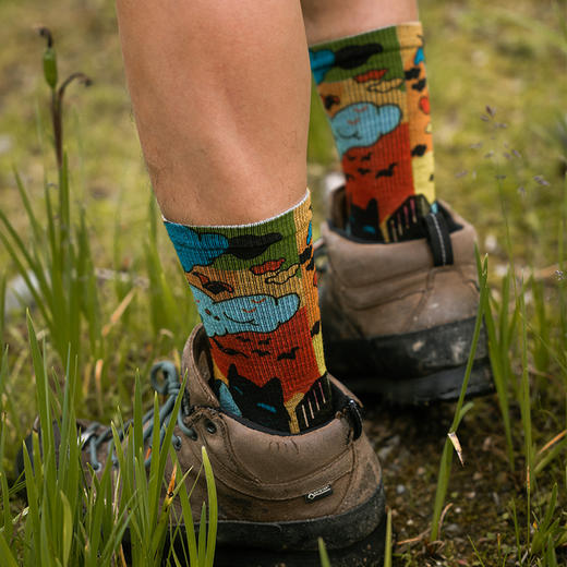 新品升级199元2双赛乐ZEALWOOD美丽诺羊毛3D印花潮袜速干透气 商品图3