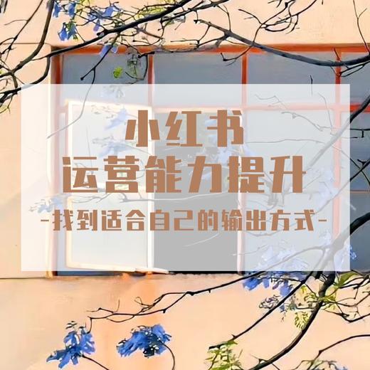 小红书运营能力提升---找到适合自己的输出方式 商品图0