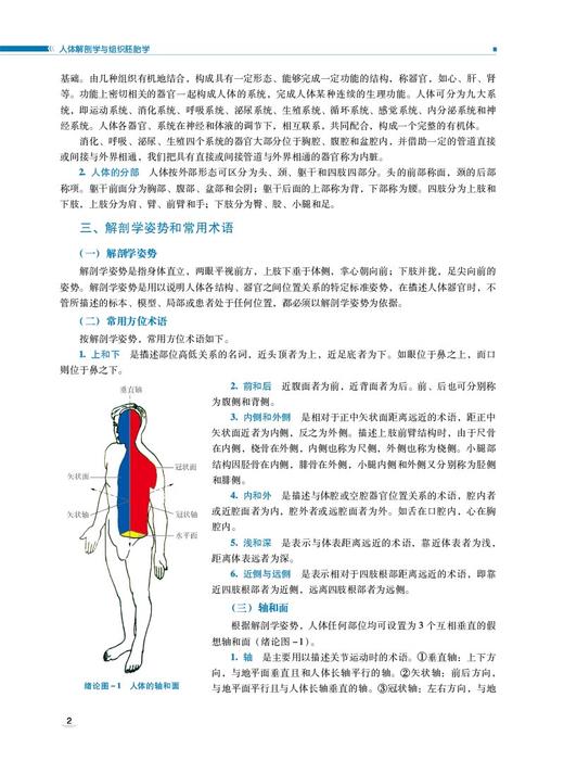 人体解剖学与组织胚胎学 韩中保 刘伏祥 主编 全国高等职业院校临床医学专业第二轮教材 中国医药科技出版社9787521435269 商品图4