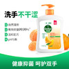 滴露（Dettol）健康抑菌洗手液柑橘500g瓶 消毒抑菌 儿童家庭补充装替换清爽去油 /个人护理 /身体护理 /洗手液 商品缩略图0
