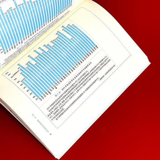 中国中小学教师队伍发展指标概览 2020 新时代中国教育战略研究丛书 商品图10