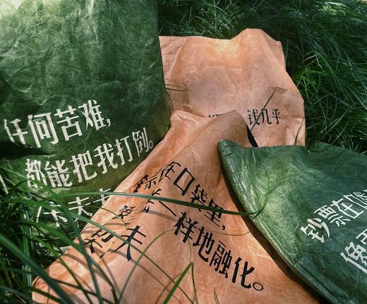 文豪Attitude  单肩包 纸袋穿搭 薄荷曼波 清冷感 流浪风 商品图10