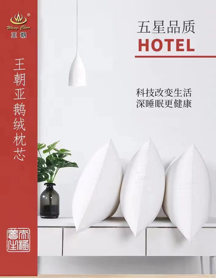王朝羽亚鹅绒枕芯