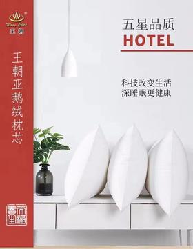 王朝羽亚鹅绒枕芯