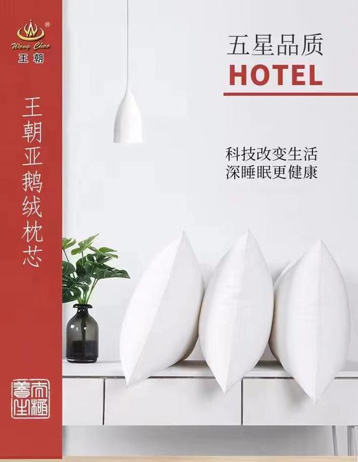 王朝羽亚鹅绒枕芯 商品图0