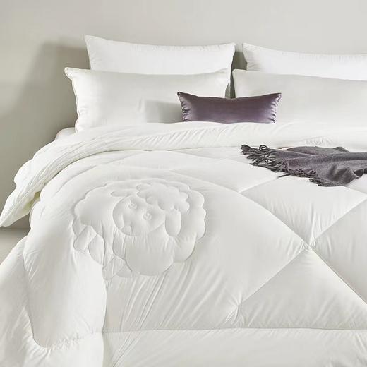 【堂皇】B7F欧洲进口抗菌羊毛（填充物重量：2000g） 商品图3