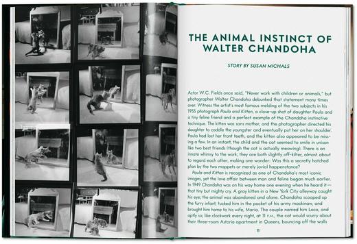 【现货】Walter Chandoha. Cats. Photographs 1942–2018 | 沃尔特·尚多哈：猫咪摄影集 1942–2018 商品图5