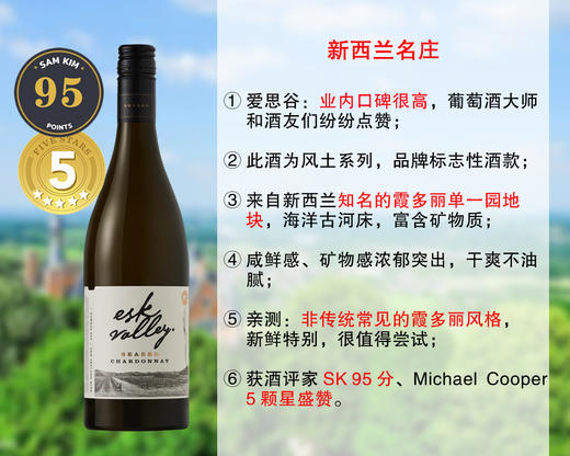 【现货促销，售完无补】【SK95分+MC五星推荐】新西兰膜拜名庄：爱思谷酒庄古河床霞多丽旗舰干白（2020年） 商品图0
