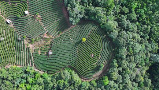 最炫云南民族风： 秘境普洱-拉祜族、佤族、傣族、墨江碧溪古镇8天摄影 商品图6