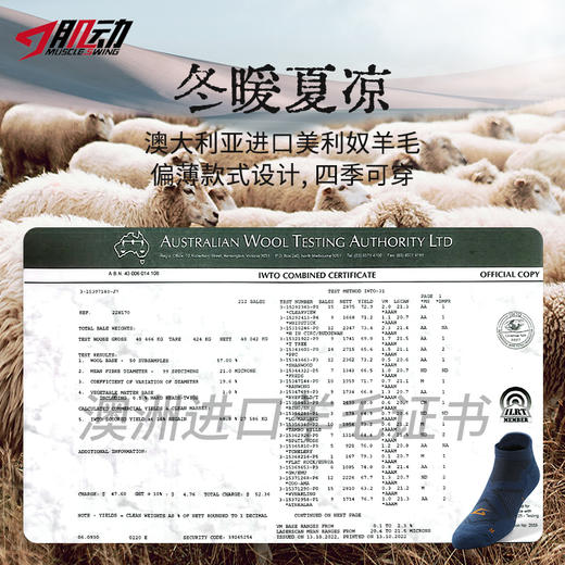 617中筒肌动美利奴羊毛越野跑步袜专业薄款马拉松袜毛巾底户外登山徒步羊毛袜 商品图3