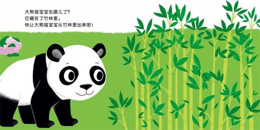 《小手探索全知道·快乐认知》（全7册）+《小手探索全知道·奇妙发现》（全7册） 商品图11