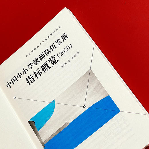 中国中小学教师队伍发展指标概览 2020 新时代中国教育战略研究丛书 商品图3