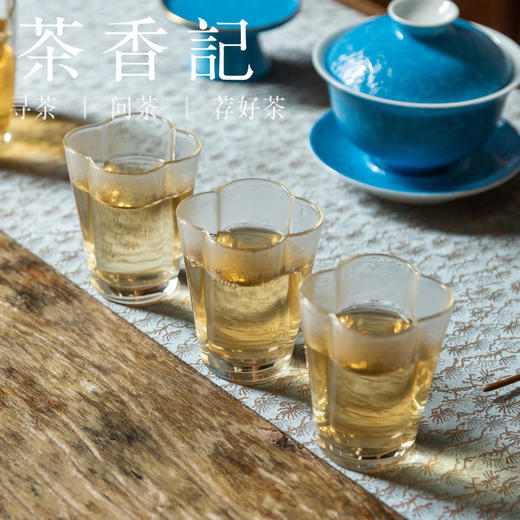 茶香记 无尽藏普洱生茶010  布朗山古树  紧压工艺  香气丰富  甜醇有劲 商品图5