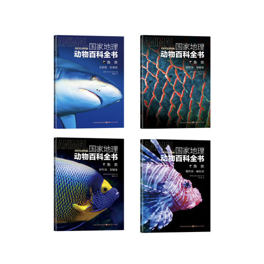 《guo家地理动物百科全书》全20册，陪孩子看这套书，胜过去100次动物园 商品图5