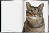 【现货】Walter Chandoha. Cats. Photographs 1942–2018 | 沃尔特·尚多哈：猫咪摄影集 1942–2018 商品缩略图4