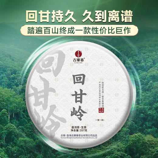【回甘岭】2023年头春头采回甘持久久到离谱福利放松班章森林茶为主料 商品图0
