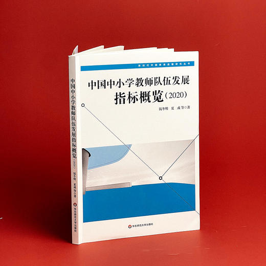 中国中小学教师队伍发展指标概览 2020 新时代中国教育战略研究丛书 商品图1