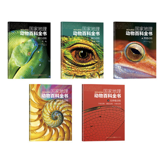 《guo家地理动物百科全书》全20册，陪孩子看这套书，胜过去100次动物园 商品图4
