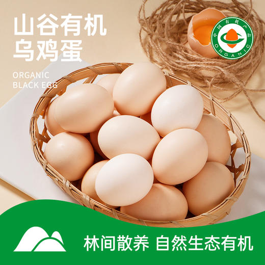 【泰和有机乌鸡蛋】30枚 30000平米林间自然散养，限量供应 商品图0