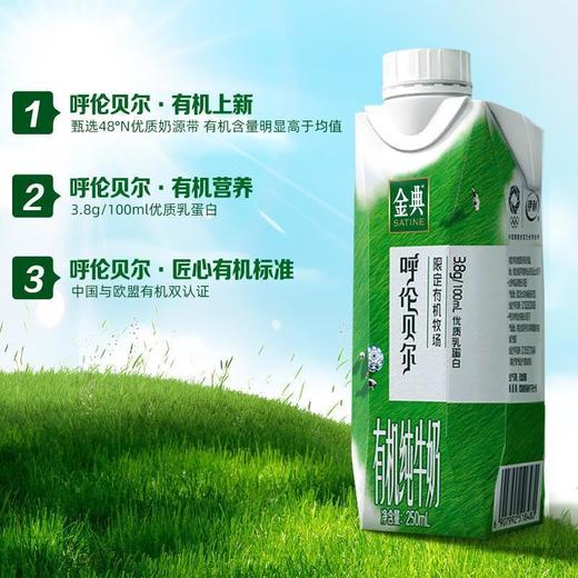 伊利呼伦贝尔有机纯牛奶250*10ml 商品图2