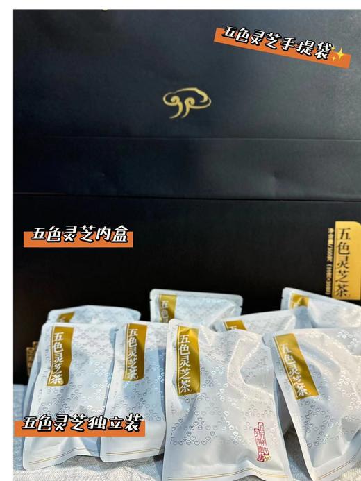 野生灵芝 五色茶包 商品图7