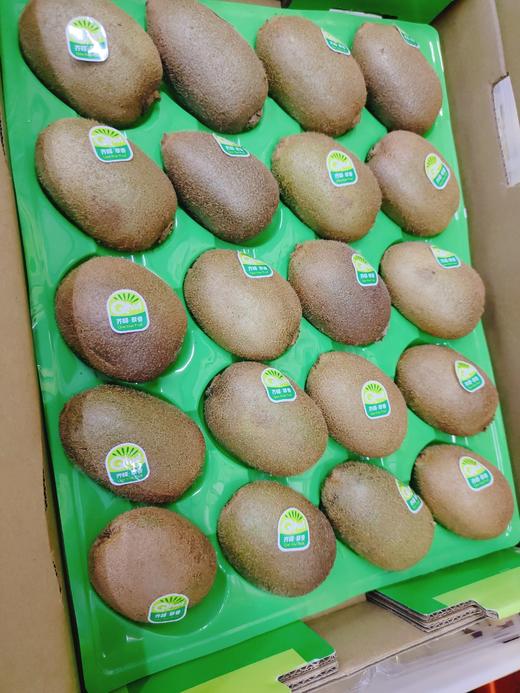 齐峰奇异果一箱（拼团） 商品图2