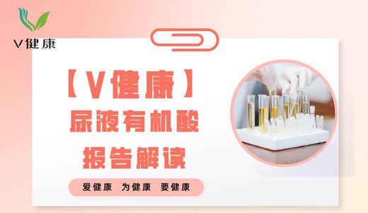 【专栏】尿液有机酸报告解读 商品图0