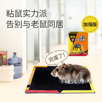 榄菊老鼠贴10片超强力粘鼠板捕鼠贴抓老鼠胶 加大加强 商品图1