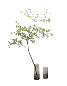 晨熙园书房玻璃花器