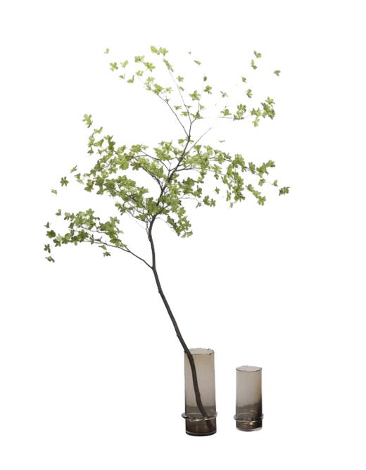 晨熙园书房玻璃花器 商品图0