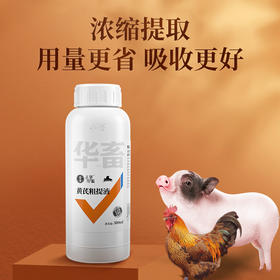 华畜黄芪多糖粗提液500ml  浓缩提取用量更省吸收更好