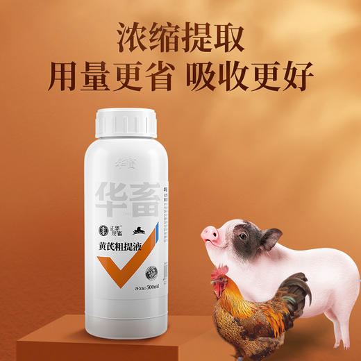 华畜黄芪多糖粗提液500ml  浓缩提取用量更省吸收更好 商品图0