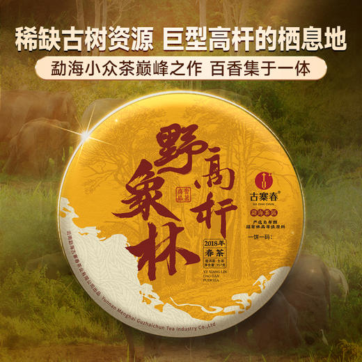 【野象林高杆】2018年头春头采勐海野象林稀缺高杆资源三国交界处环境原始357g 商品图0