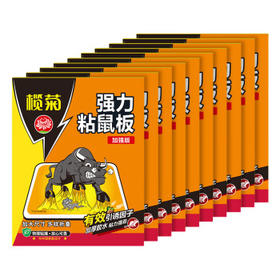 榄菊老鼠贴10片超强力粘鼠板捕鼠贴抓老鼠胶 加大加强