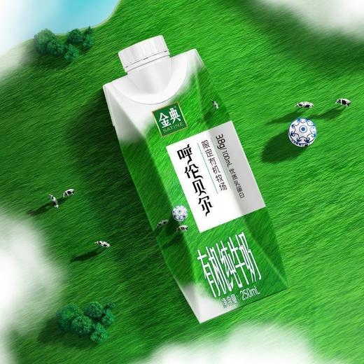 伊利呼伦贝尔有机纯牛奶250*10ml 商品图3