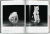 【现货】Walter Chandoha. Cats. Photographs 1942–2018 | 沃尔特·尚多哈：猫咪摄影集 1942–2018 商品缩略图1