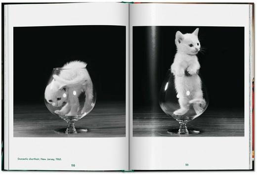 【现货】Walter Chandoha. Cats. Photographs 1942–2018 | 沃尔特·尚多哈：猫咪摄影集 1942–2018 商品图1