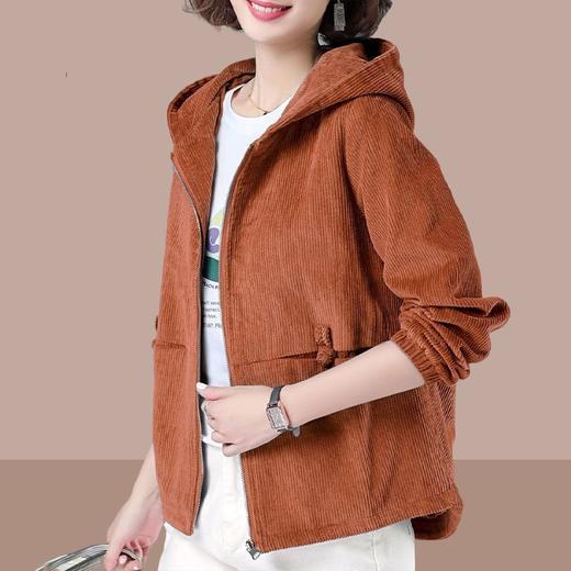 DD-女士短外套韩版宽松2023年春秋新款大码显瘦夹克休闲百搭卫衣女潮 商品图3