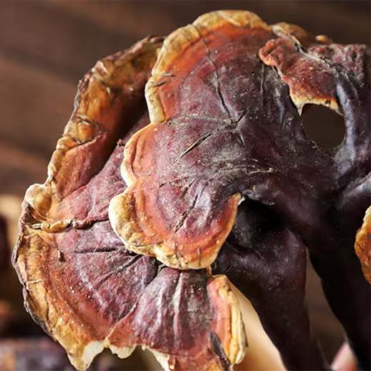 【西藏好物】藏地干野生赤灵芝 250g/500g 商品图2