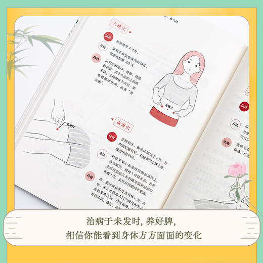 养脾三步走：祛湿、补虚、养气血 商品图7