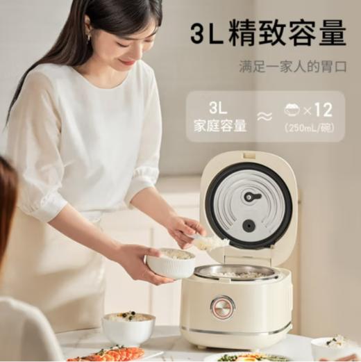 九阳电饭煲30N1 商品图0
