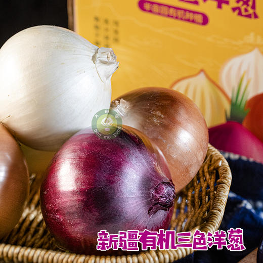 新疆有机三色洋葱 净重2.5KG ,紫 / 黄 / 白皮精品混装 商品图0